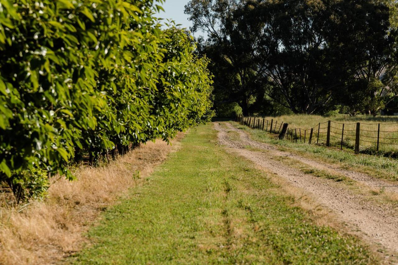 Walnut Tree Cottages Whorouly Esterno foto